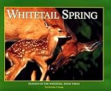 Whitetail Spring: Seasons of the Whitetail (Seasons of the...