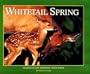 Whitetail Spring: Seasons of the Whitetail (Seasons of the Whitetail/John J. Ozoga, Bk 3)