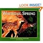 Whitetail Spring: Seasons of the Whitetail (Seasons of the Whitetail/John J. Ozoga, Bk 3)