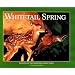 Whitetail Spring: Seasons of the Whitetail (Seasons of the Whitetail/John J. Ozoga, Bk 3)