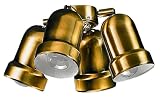 Royal Pacific 4RP2AB Ceiling Fan Light Kit, Antique Brass, Four E12 Candelabra Base Spotlight Lamps