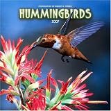 Hummingbirds 2007 Wall Calendar