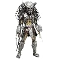 Movie Masterpiece - 1/6 Scale Fully Poseable Model : �G�C���A��vs�v���f�^�[ AVP Celtic Predator