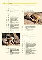 Hundepsychologie: Sozialverhalten und Wesen. Emotionen und Individualit&auml;t