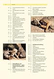 Hundepsychologie: Sozialverhalten und Wesen. Emotionen und Individualität