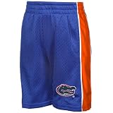 NCAA Florida Gators Toddler Royal Blue Vector Mesh Shorts (2T)