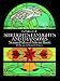 Sidelights, Fanlights and Transoms Stained Glass Pattern Book