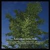 Loney, Noir -Slipcase-