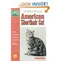 The Guide to Owning an American Shorthair Cat