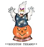 20" Lighted NFL Houston Texans "Happy Halloween" Yard Decoration