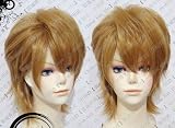 Another（アナザー）敕使河原直哉　コスプレウィッグ ＋ウイッグネット