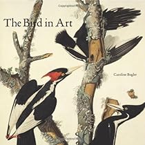 The Bird in Art The Bird in Art