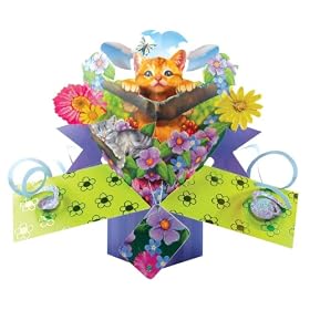 Second Nature POP057 Pop Up Greeting Card for a Special Occasion