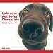Labrador - Chocolate - Dog Artlist Collection - 2009 Calendar