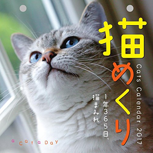 猫めくり 2017年 カレンダー 日めくり CK-C17-01 猫めくり 2017年 カレンダー 日めくり CK-C17-01