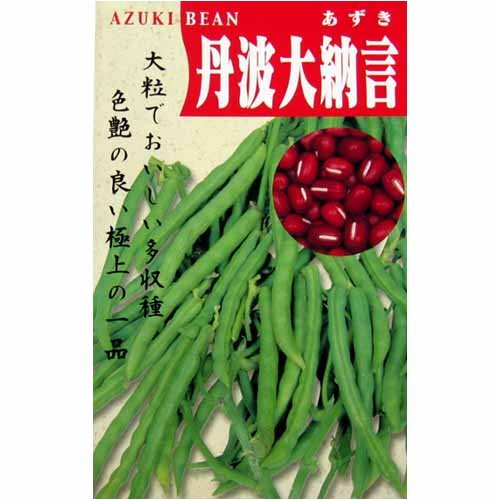 色のよい大粒　丹波大納言(一般種)　数量:100ml