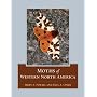 Moths of Western North America