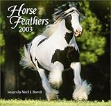 Horse Feathers 2003 Calendar (Horse Lovers)-
