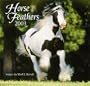Horse Feathers Calendar (2003) (Horse Lovers)
