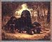 Gordon Setter Dogs Cotton Tapestry Throw Blanket