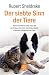 Der siebte Sinn der Tiere: Warum Ihre Katze weiß, wann Sie nach Hause kommen, und andere bisher ungeklärte Fähigkeiten der Tiere