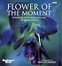 Gardeners' World Flower of the Moment: A Month-by-month Guide to the Best 100 Flowering Plants (Gardeners' World)