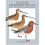 Painting Shorebird Decoys: 16 Full-Color Plates and Complete Instructions