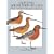 Painting Shorebird Decoys: 16 Full-Color Plates and Complete Instructions