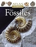 Les Fossiles