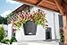 Lechuza Nido Cottage All-In-One Self-Watering Garden Planter for Indoor and Outdoor Use, 11