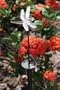 Smart Solar Chameleon Solar-Powered Light Stake, Dragonfly