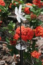 Smart Solar Chameleon Solar-Powered Light Stake, Dragonfly