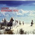 International Velvet