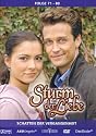 Sturm der Liebe 8 - Folge 71-80: Schatten der Vergangenheit (3 DVDs)