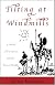 Tilting at Windmills: A Novel of Cervantes and the Errant Knight