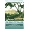 explore spiritual healing
