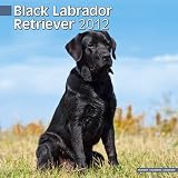 Kalender 2012 Labrador Retriever schwarz (Black)