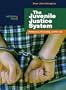 The Juvenile Justice System: Delinquency, Processing, and the Law (5th Edition)