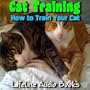 How to Teach Your Cat Tricks From Natural Behaviors