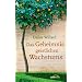 Das Geheimnis geistlichen Wachstums