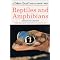 Supplemental books used w/ Science Through Children's Literature