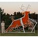 Lighted Holiday Display 1529-LED Animated Reindeer (C7 LED)