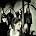 Tristania