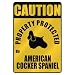 cocker_spaniel13cocker spaniel - CAUTION PROPERTY PROTECTED BY AMERICAN COCKER SPANIEL PARKING