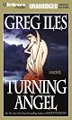 Turning Angel: A Novel