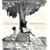 Illustrated Daughters of Britannia the public and private worlds of the diplomatic wife