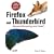 Firefox and Thunderbird: Beyond Browsing and Email