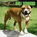 Staffordshire Bull Terriers 2004 Calendar