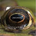 Frog's Eye