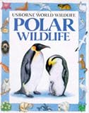 Polar Wildlife (Usborne World Wildlife)